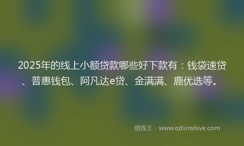 2025年的线上小额贷款哪些好下款有：钱袋速贷、普惠钱包、阿凡达e贷、金满满、鹿优选等。