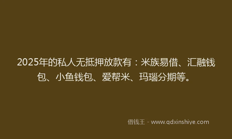 2025年的私人无抵押放款有：米族易借、汇融钱包、小鱼钱包、爱帮米、玛瑙分期等。