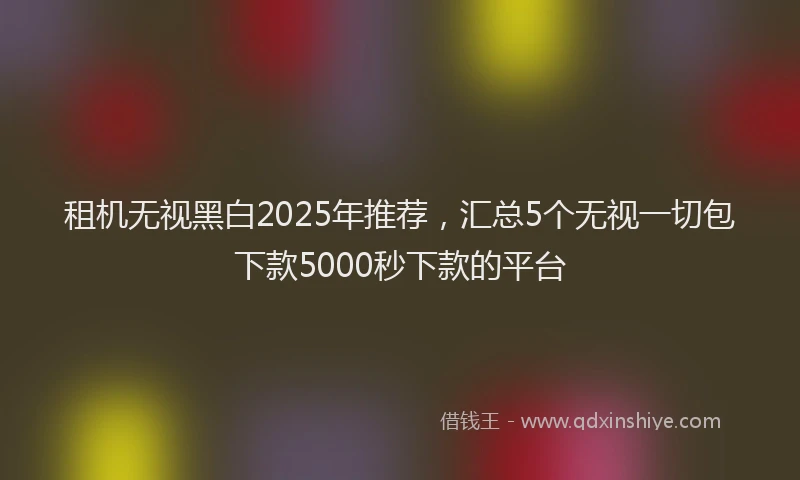 租机无视黑白2025年推荐，汇总5个无视一切包下款5000秒下款的平台