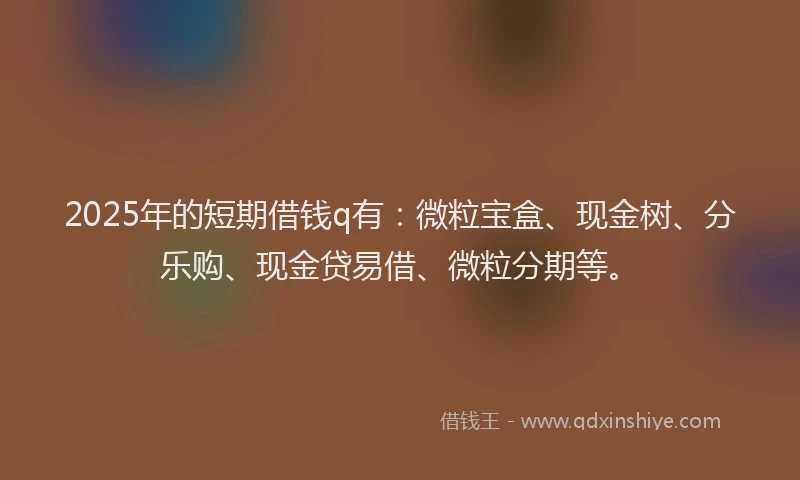 2025年的短期借钱q有：微粒宝盒、现金树、分乐购、现金贷易借、微粒分期等。