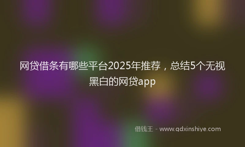 网贷借条有哪些平台2025年推荐，总结5个无视黑白的网贷app
