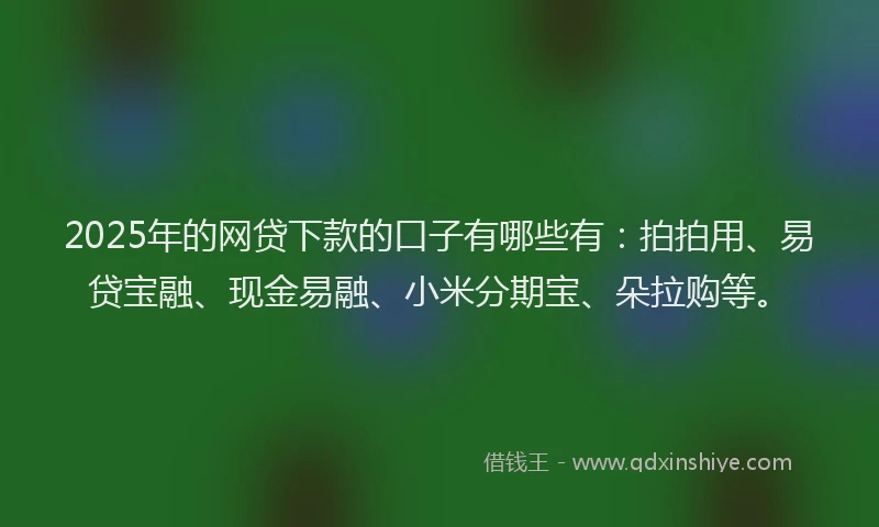 2025年的网贷下款的口子有哪些有：拍拍用、易贷宝融、现金易融、小米分期宝、朵拉购等。