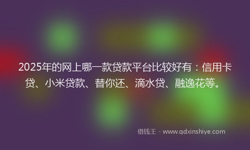 2025年的网上哪一款贷款平台比较好有：信用卡贷、小米贷款、替你还、滴水贷、融逸花等。
