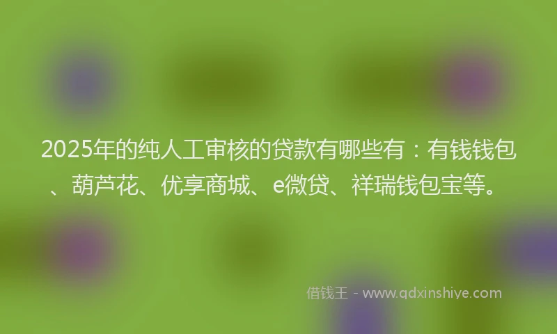 2025年的纯人工审核的贷款有哪些有：有钱钱包、葫芦花、优享商城、e微贷、祥瑞钱包宝等。