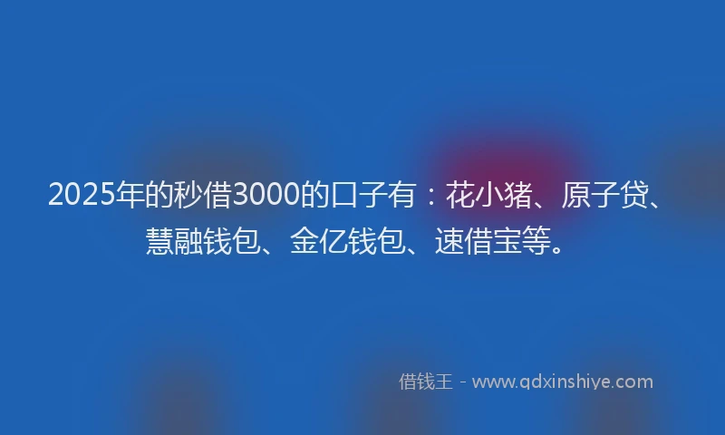 2025年的秒借3000的口子有：花小猪、原子贷、慧融钱包、金亿钱包、速借宝等。