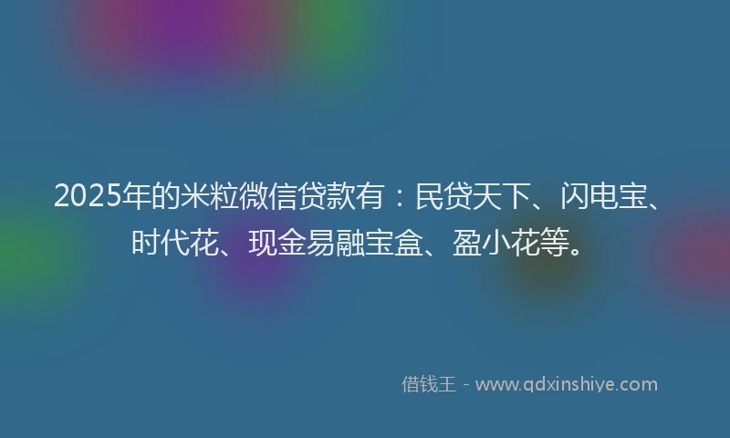 2025年的米粒微信贷款有：民贷天下、闪电宝、时代花、现金易融宝盒、盈小花等。