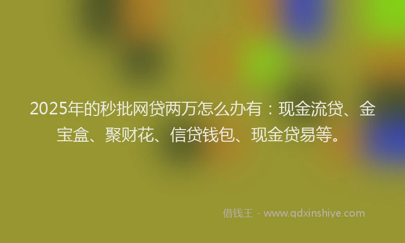 2025年的秒批网贷两万怎么办有：现金流贷、金宝盒、聚财花、信贷钱包、现金贷易等。