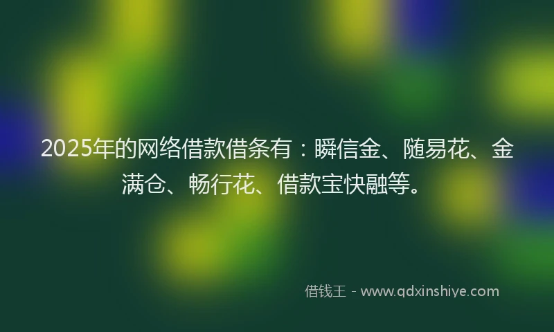 2025年的网络借款借条有：瞬信金、随易花、金满仓、畅行花、借款宝快融等。