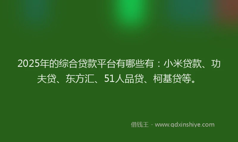 2025年的综合贷款平台有哪些有：小米贷款、功夫贷、东方汇、51人品贷、柯基贷等。