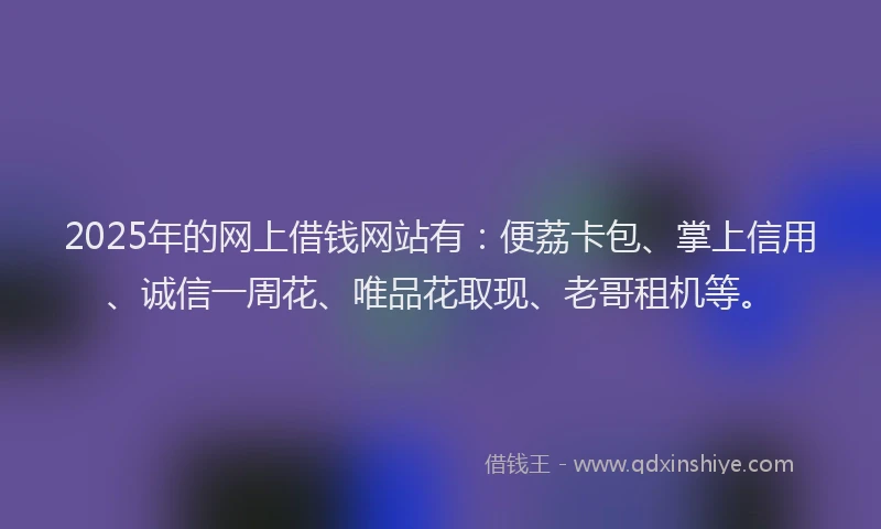 2025年的网上借钱网站有：便荔卡包、掌上信用、诚信一周花、唯品花取现、老哥租机等。