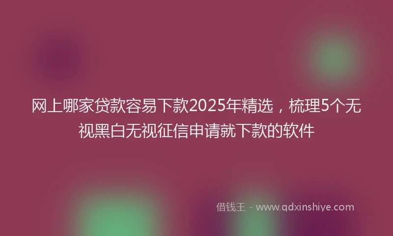 网上哪家贷款容易下款2025年精选，梳理5个无视黑白无视征信申请就下款的软件