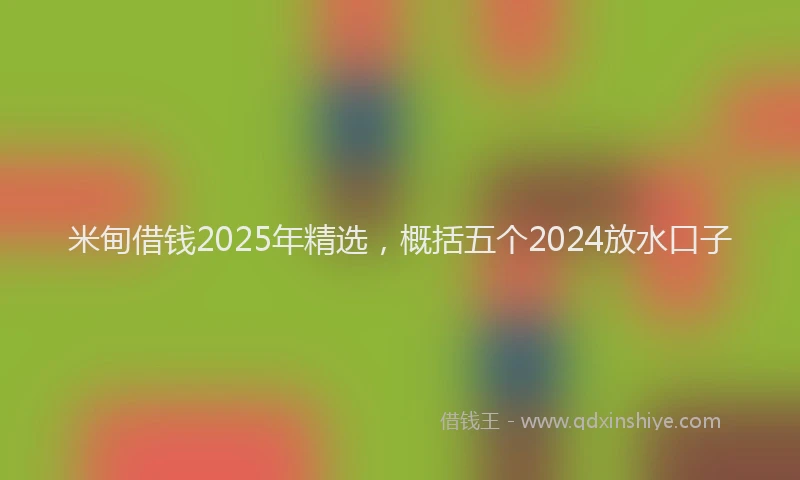 米甸借钱2025年精选，概括五个2024放水口子