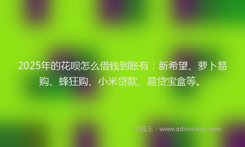 2025年的花呗怎么借钱到账有：新希望、萝卜易购、蜂狂购、小米贷款、易贷宝盒等。