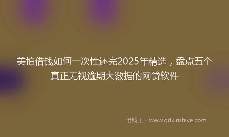 美拍借钱如何一次性还完2025年精选，盘点五个真正无视逾期大数据的网贷软件