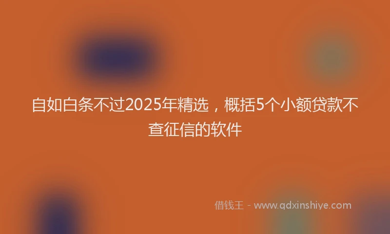 自如白条不过2025年精选，概括5个小额贷款不查征信的软件