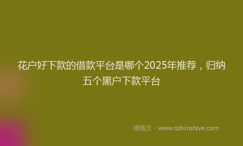 花户好下款的借款平台是哪个2025年推荐，归纳五个黑户下款平台