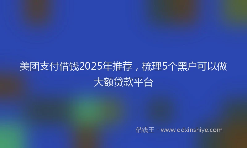 美团支付借钱2025年推荐，梳理5个黑户可以做大额贷款平台