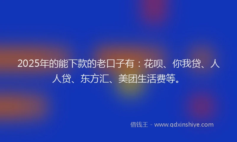 2025年的能下款的老口子有：花呗、你我贷、人人贷、东方汇、美团生活费等。