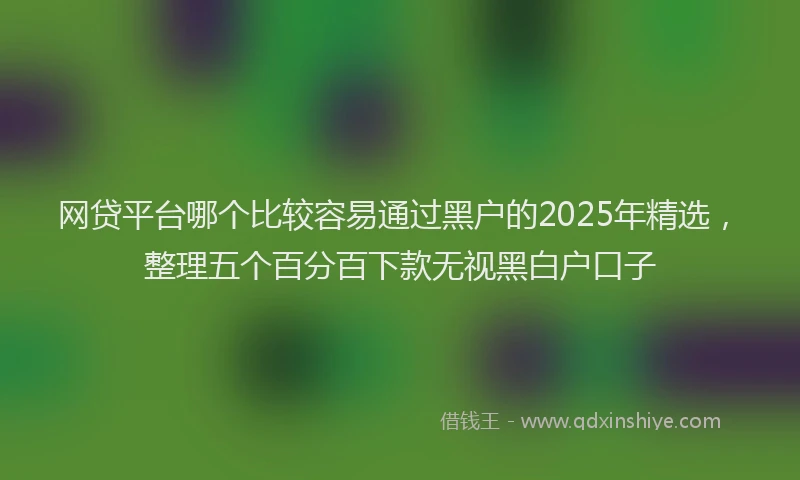 网贷平台哪个比较容易通过黑户的2025年精选，整理五个百分百下款无视黑白户口子