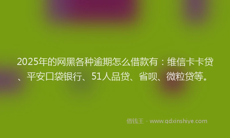 2025年的网黑各种逾期怎么借款有：维信卡卡贷、平安口袋银行、51人品贷、省呗、微粒贷等。