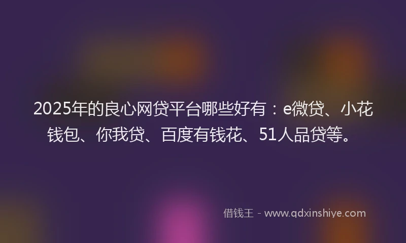 2025年的良心网贷平台哪些好有：e微贷、小花钱包、你我贷、百度有钱花、51人品贷等。