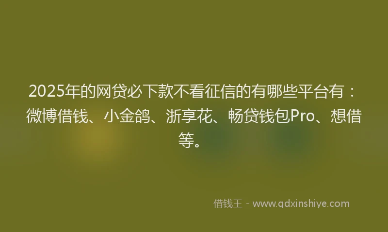 2025年的网贷必下款不看征信的有哪些平台有：微博借钱、小金鸽、浙享花、畅贷钱包Pro、想借等。