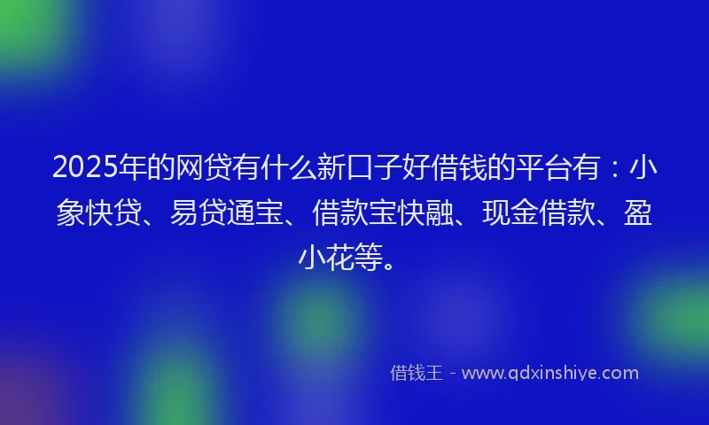 2025年的网贷有什么新口子好借钱的平台有：小象快贷、易贷通宝、借款宝快融、现金借款、盈小花等。