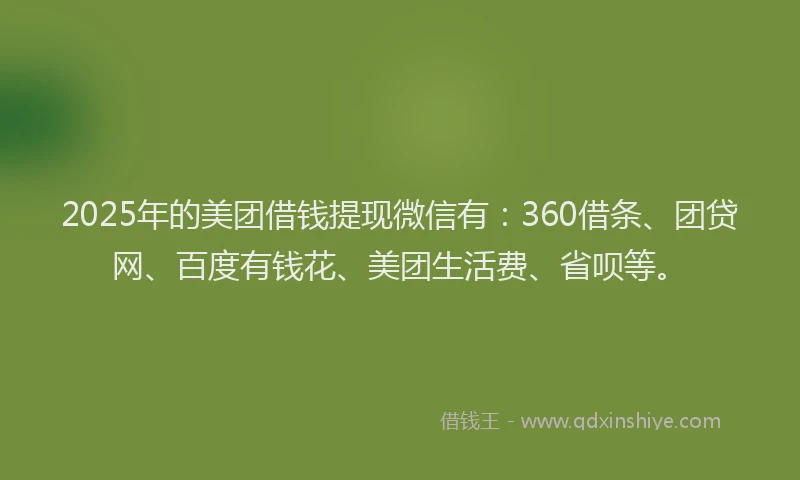 2025年的美团借钱提现微信有：360借条、团贷网、百度有钱花、美团生活费、省呗等。