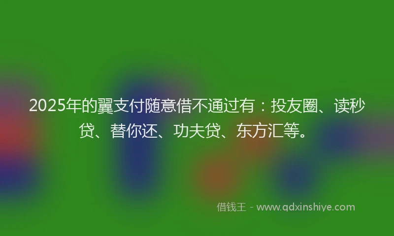 2025年的翼支付随意借不通过有：投友圈、读秒贷、替你还、功夫贷、东方汇等。