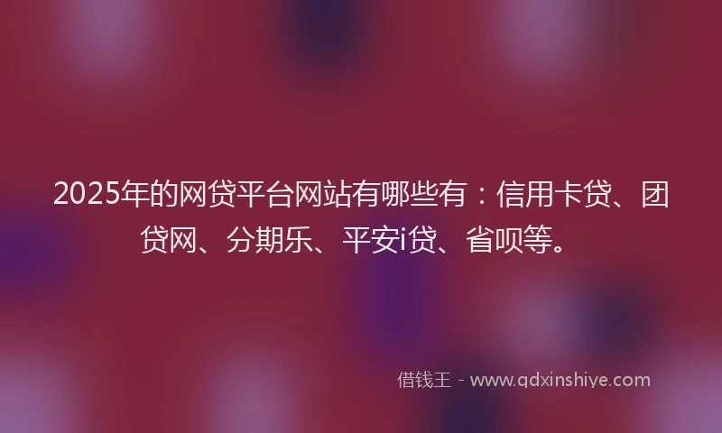 2025年的网贷平台网站有哪些有：信用卡贷、团贷网、分期乐、平安i贷、省呗等。