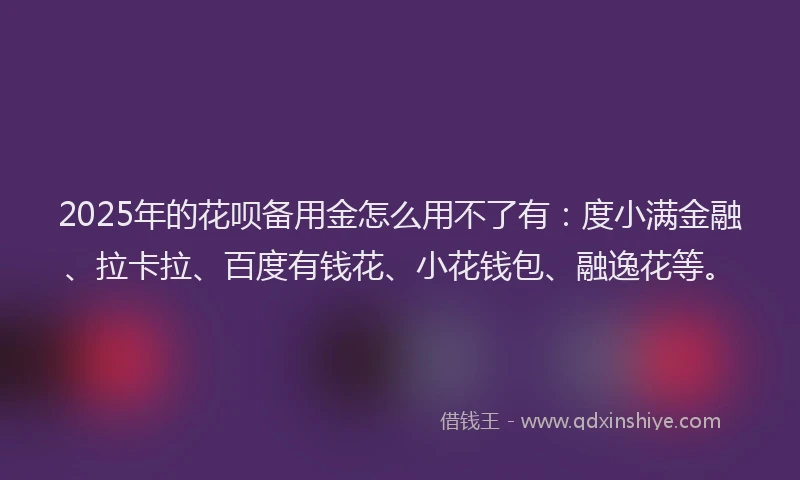 2025年的花呗备用金怎么用不了有：度小满金融、拉卡拉、百度有钱花、小花钱包、融逸花等。