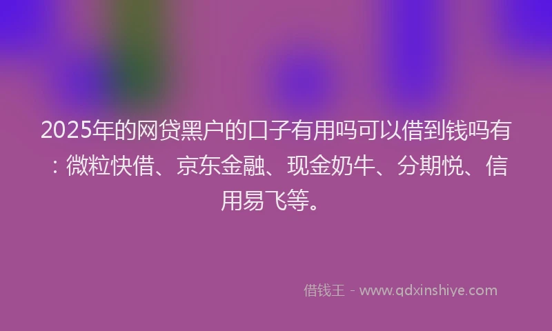 2025年的网贷黑户的口子有用吗可以借到钱吗有：微粒快借、京东金融、现金奶牛、分期悦、信用易飞等。
