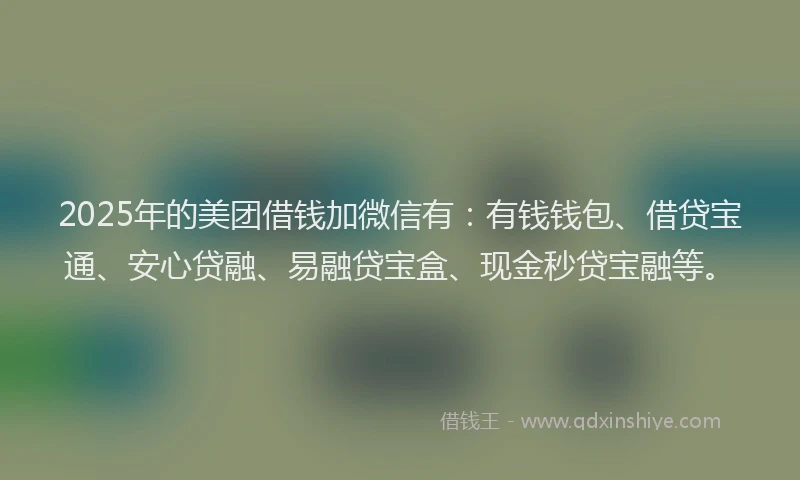 2025年的美团借钱加微信有：有钱钱包、借贷宝通、安心贷融、易融贷宝盒、现金秒贷宝融等。