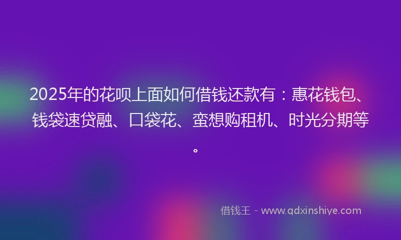 2025年的花呗上面如何借钱还款有：惠花钱包、钱袋速贷融、口袋花、蛮想购租机、时光分期等。