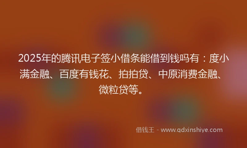 2025年的腾讯电子签小借条能借到钱吗有：度小满金融、百度有钱花、拍拍贷、中原消费金融、微粒贷等。