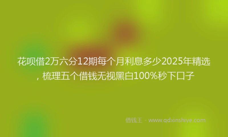 花呗借2万六分12期每个月利息多少2025年精选，梳理五个借钱无视黑白100%秒下口子