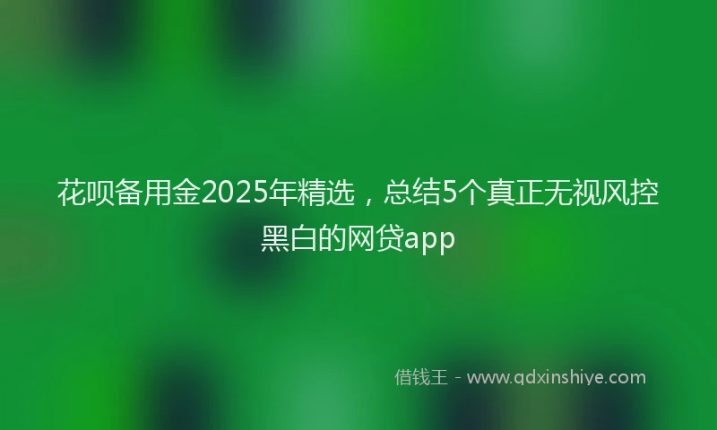 花呗备用金2025年精选，总结5个真正无视风控黑白的网贷app