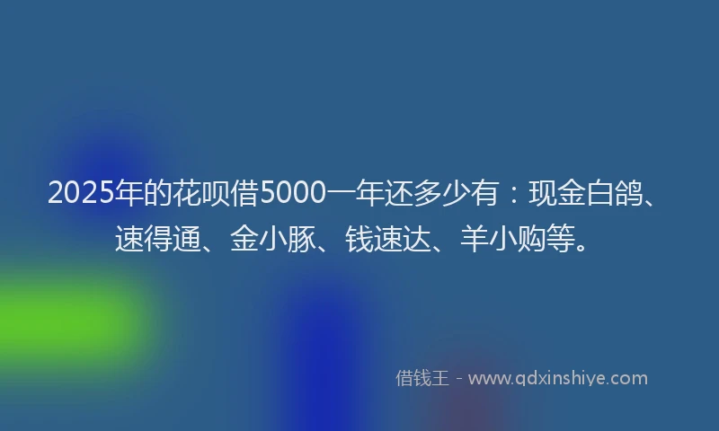 2025年的花呗借5000一年还多少有：现金白鸽、速得通、金小豚、钱速达、羊小购等。
