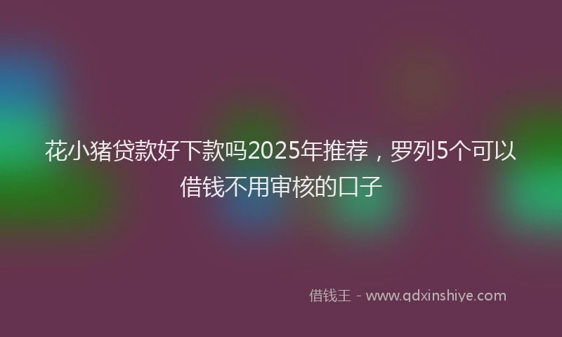 花小猪贷款好下款吗2025年推荐，罗列5个可以借钱不用审核的口子