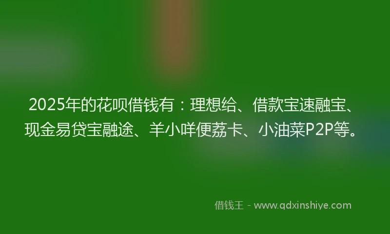 2025年的花呗借钱有：理想给、借款宝速融宝、现金易贷宝融途、羊小咩便荔卡、小油菜P2P等。