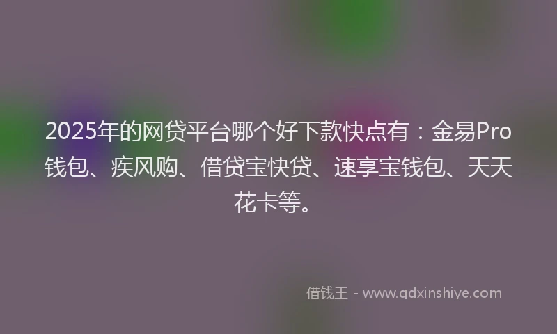2025年的网贷平台哪个好下款快点有：金易Pro钱包、疾风购、借贷宝快贷、速享宝钱包、天天花卡等。