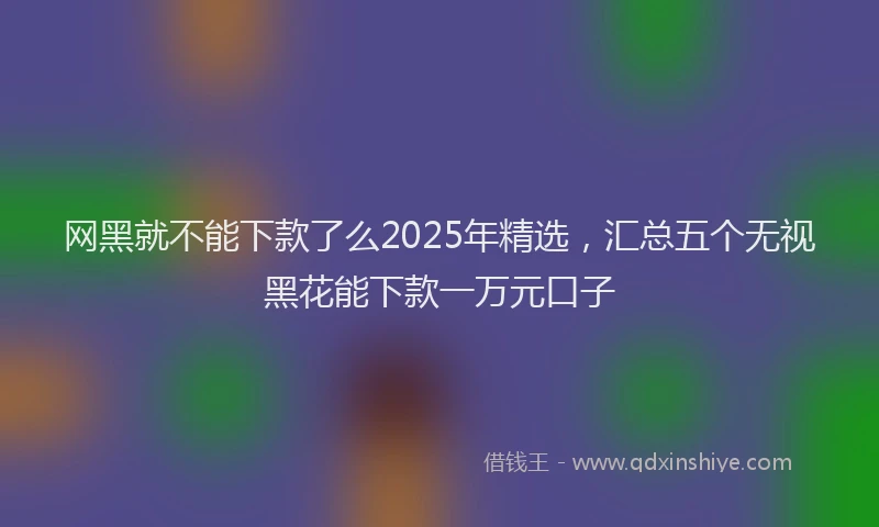 网黑就不能下款了么2025年精选，汇总五个无视黑花能下款一万元口子