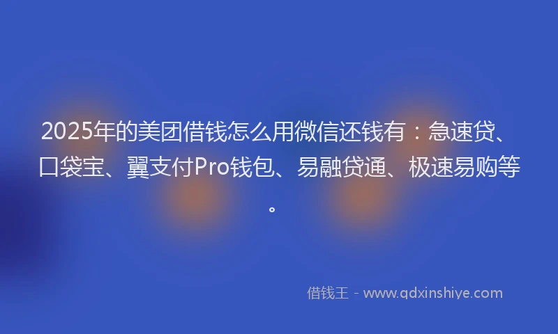 2025年的美团借钱怎么用微信还钱有：急速贷、口袋宝、翼支付Pro钱包、易融贷通、极速易购等。