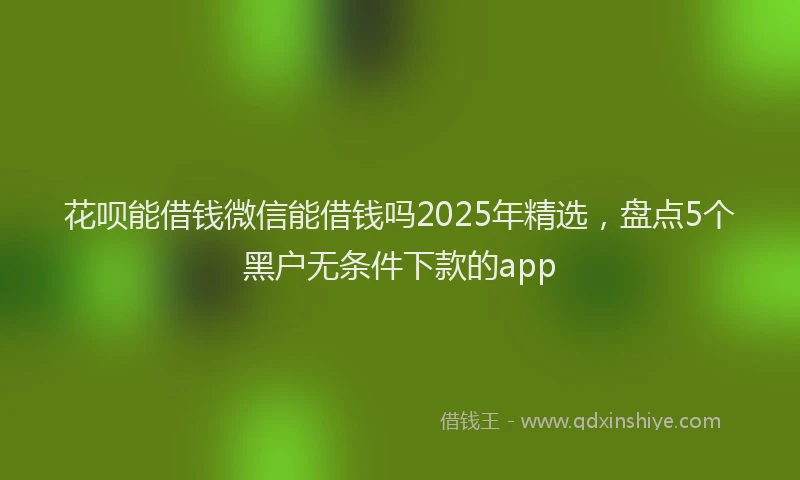 花呗能借钱微信能借钱吗2025年精选，盘点5个黑户无条件下款的app