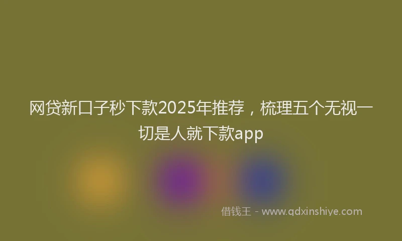 网贷新口子秒下款2025年推荐，梳理五个无视一切是人就下款app
