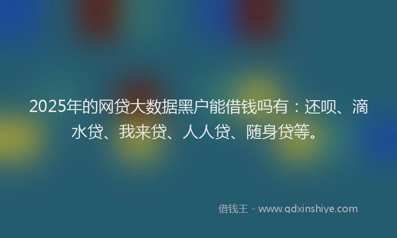 2025年的网贷大数据黑户能借钱吗有：还呗、滴水贷、我来贷、人人贷、随身贷等。