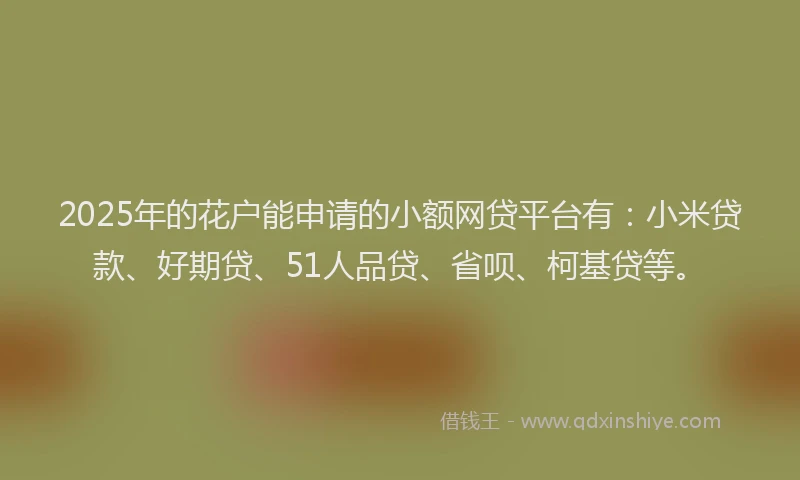 2025年的花户能申请的小额网贷平台有：小米贷款、好期贷、51人品贷、省呗、柯基贷等。
