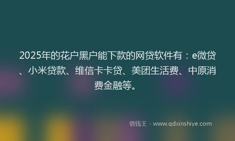 2025年的花户黑户能下款的网贷软件有：e微贷、小米贷款、维信卡卡贷、美团生活费、中原消费金融等。