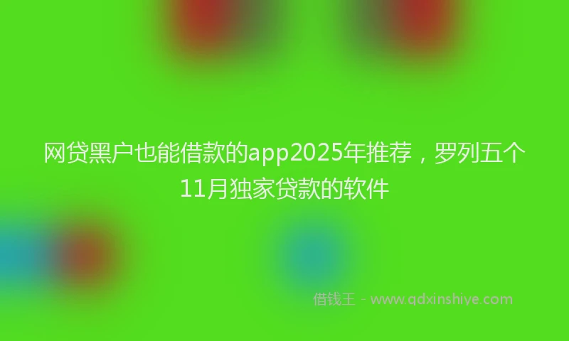 网贷黑户也能借款的app2025年推荐，罗列五个11月独家贷款的软件