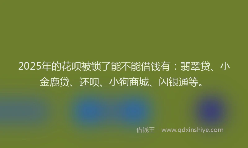 2025年的花呗被锁了能不能借钱有：翡翠贷、小金鹿贷、还呗、小狗商城、闪银通等。